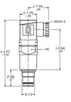 Dimensional Image for VM: Medium Pressure Type D: Visual & Electrical Switch (304656)