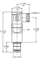 Dimensional Image for VM: Medium Pressure Type D: Visual & Electrical Switch (1272485)