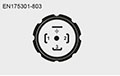 Pin Connections - EN175301-803 for ETS 4XXX Temperature Transducer