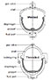Type SBO Diaphragm Accumulators (Construction)