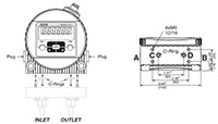 Flanged Version for Contamination Monitors - CS 1000 Series